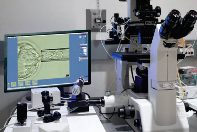 显微镜，显微操作和激光破膜仪