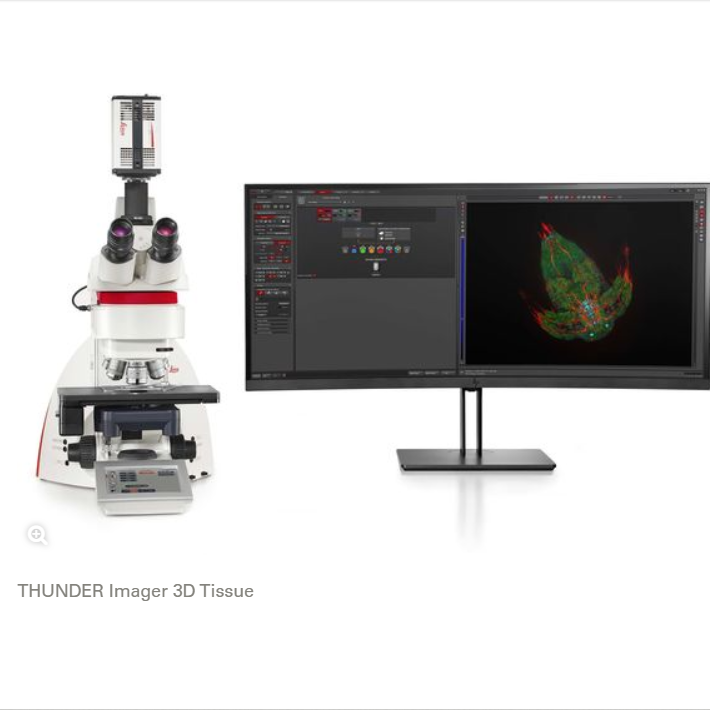 Phase Contrast Illuminator