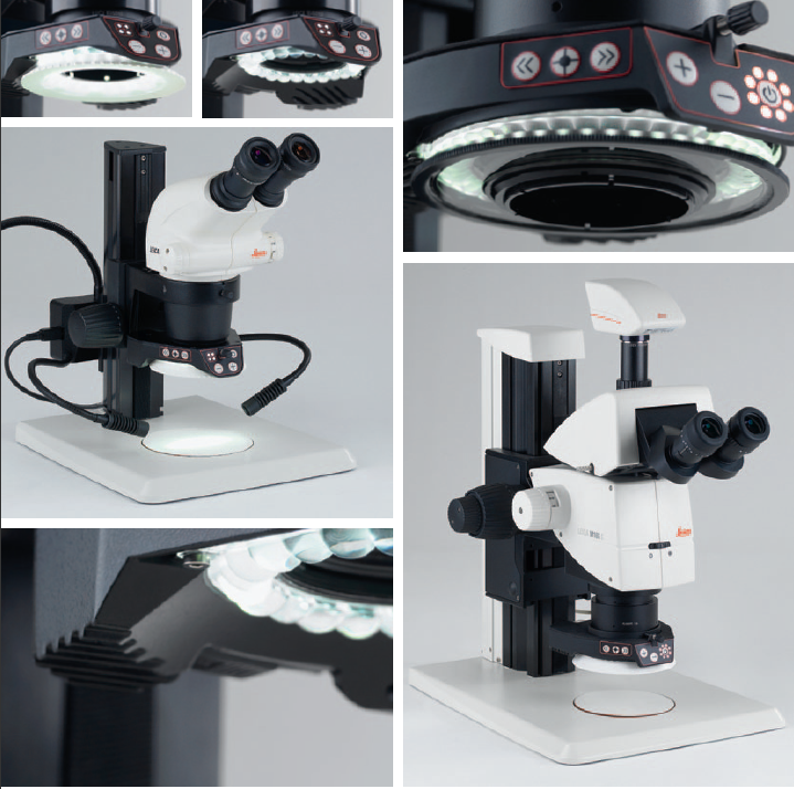 Phase Contrast Illuminator