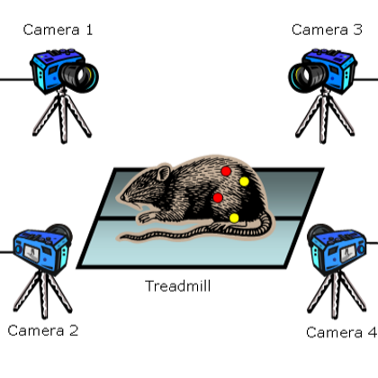 Phase Contrast Illuminator