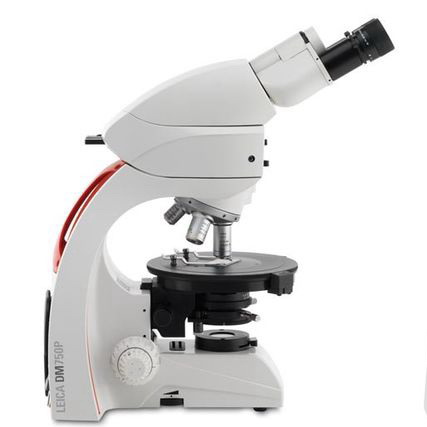 Phase Contrast Illuminator