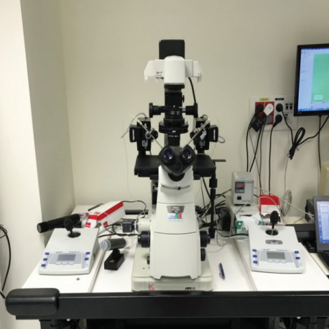 Phase Contrast Illuminator