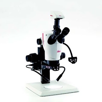 Phase Contrast Illuminator