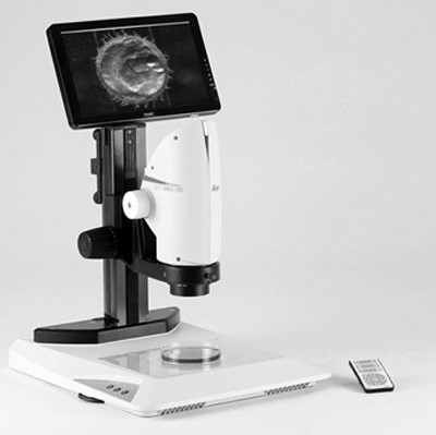 Phase Contrast Illuminator