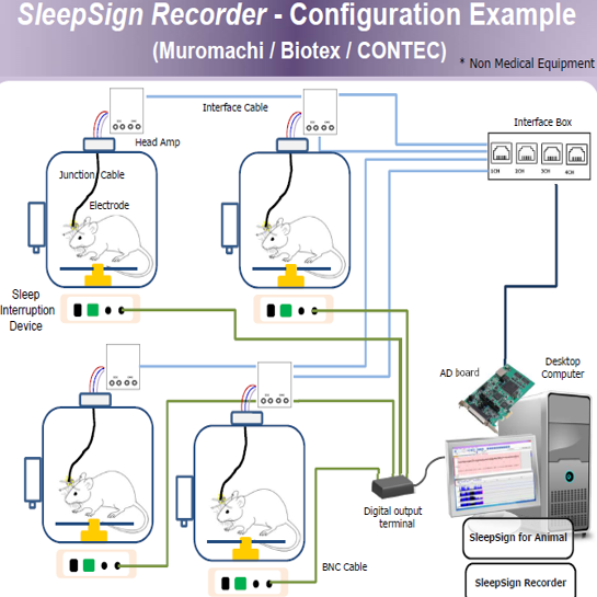 Phase Contrast Illuminator