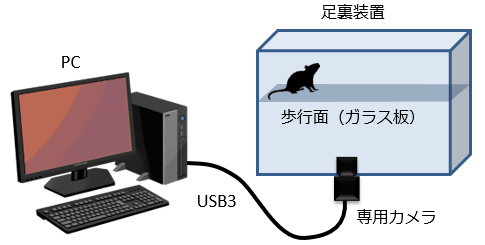 Phase Contrast Illuminator