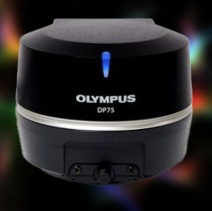 Phase Contrast Illuminator